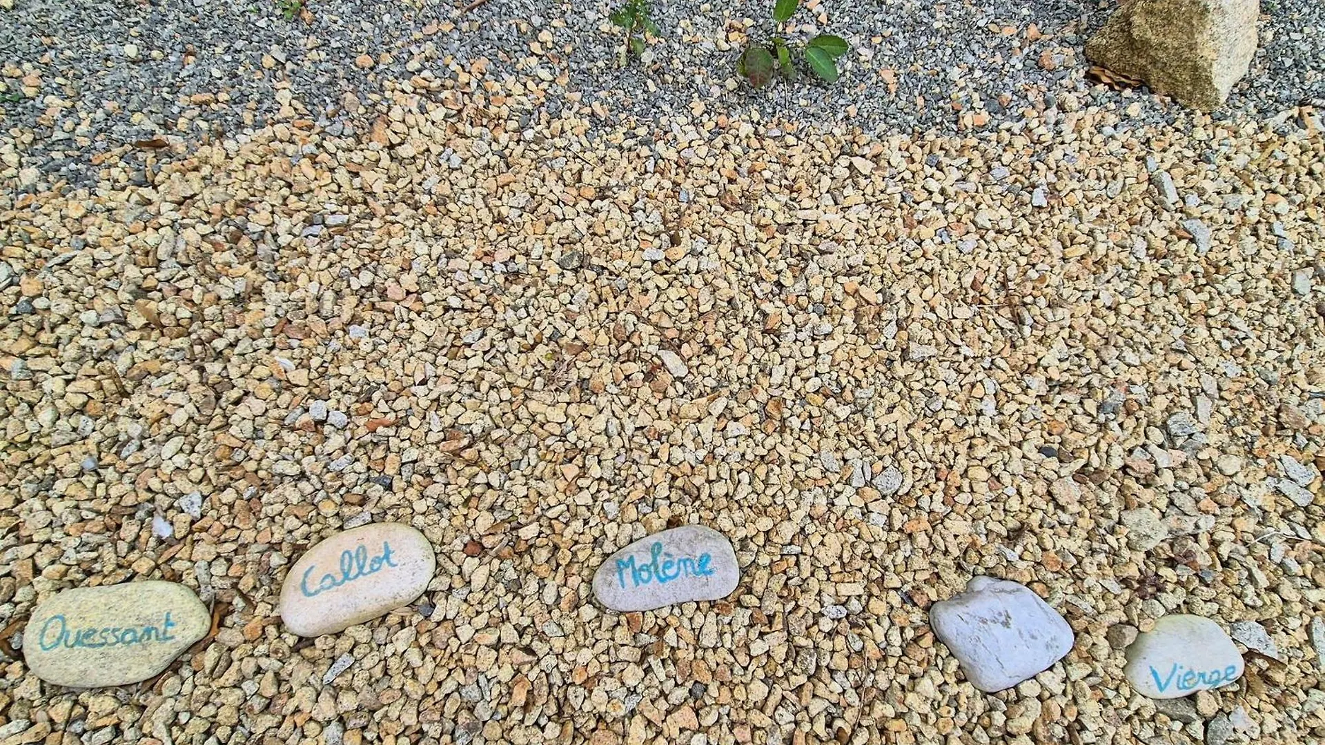 度假居 Premium Penty In A Quiet Location Near The Beach, Cleaning Included Plougoulm